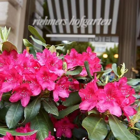 Szálloda Riehmers Hofgarten