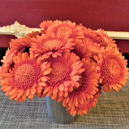 Riehmers Hofgarten Берлин