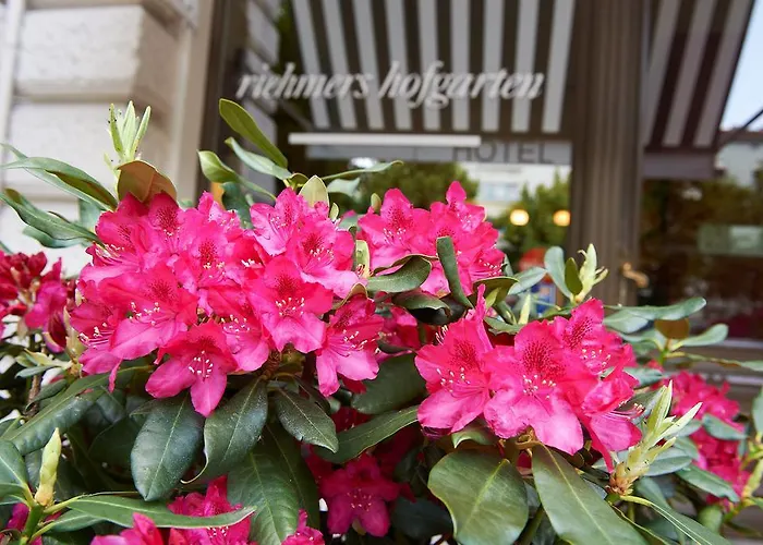 Hotel Riehmers Hofgarten